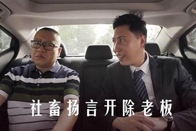 属马人哪一年犯太岁最严重,各方面运势如何