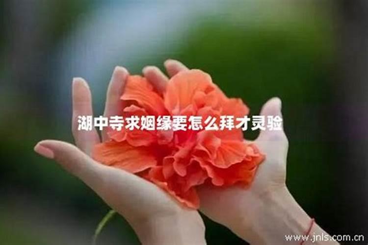 1977年出生是什么命