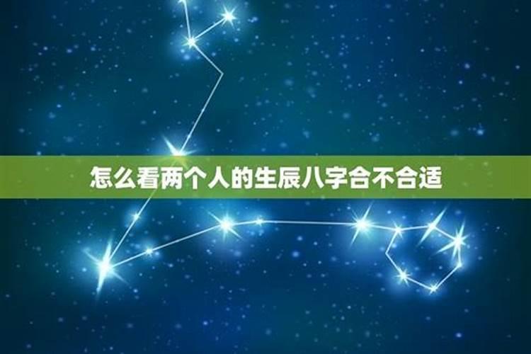 75年兔2025年运势完整版