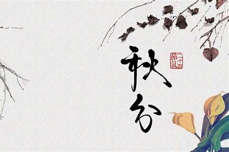 88年出生的属什么星座