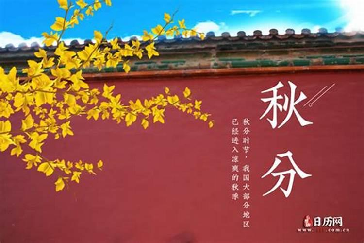 八字合婚 命好必嫁贵夫的八字有哪些 财官相生
