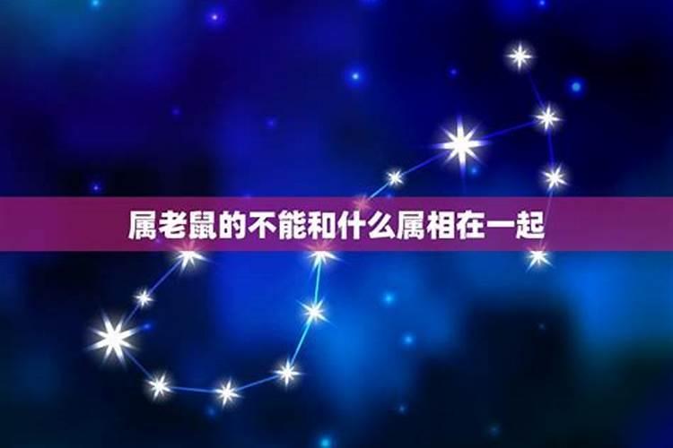 属鼠的婚配大忌,属鼠最佳婚配属相