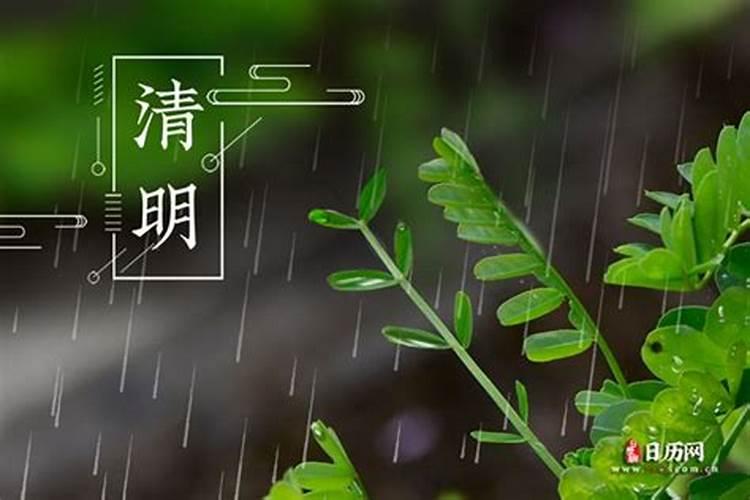 2025年十二生肖运势详解