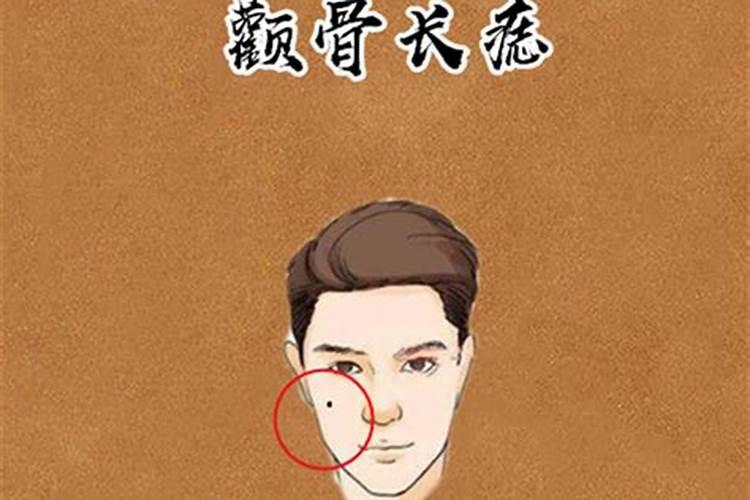 88年的龙2025年运势怎么样