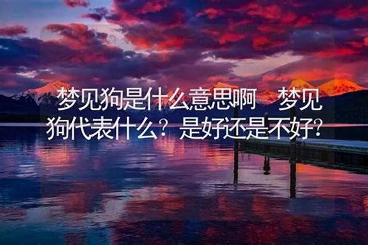 梦见好久不见的同学在聊天的预兆