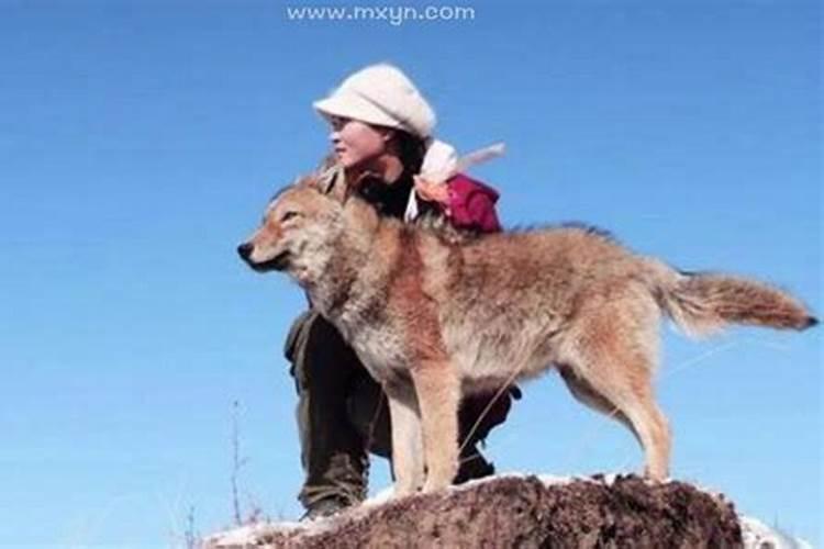 梦见死去的儿子还活着是什么意思