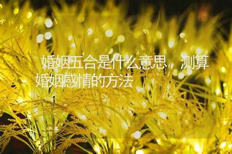 梦见水浅但有好多鱼