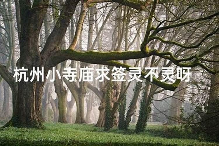 生肖羊1991年2025年运势如何 生肖羊1991年2025年全年运势