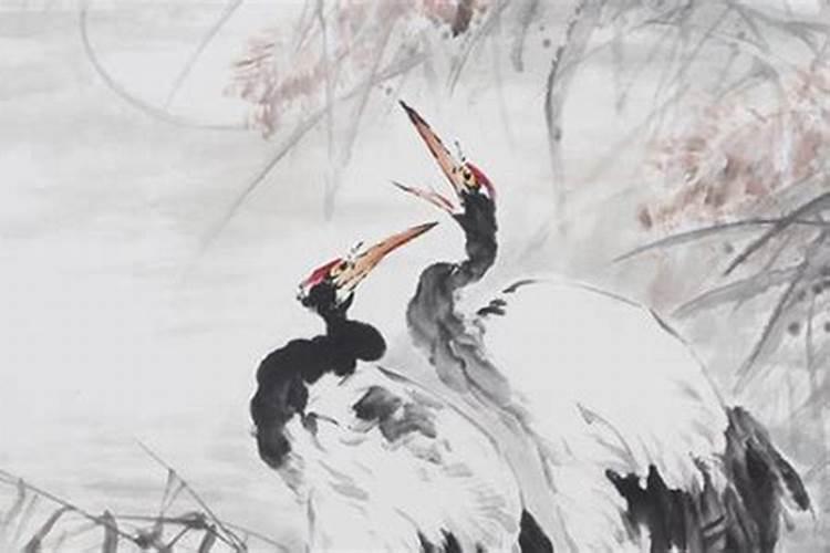 真童子和假童子八字上的区别 生辰八字童子和真童子区别？