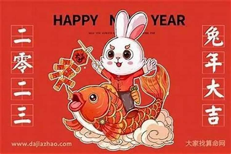 属蛇的阴历10月11出生的人在阳年的运程