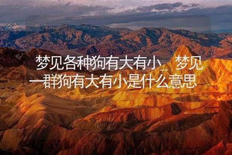 2025属兔人每月运势及运程如何 属兔人2025年运势