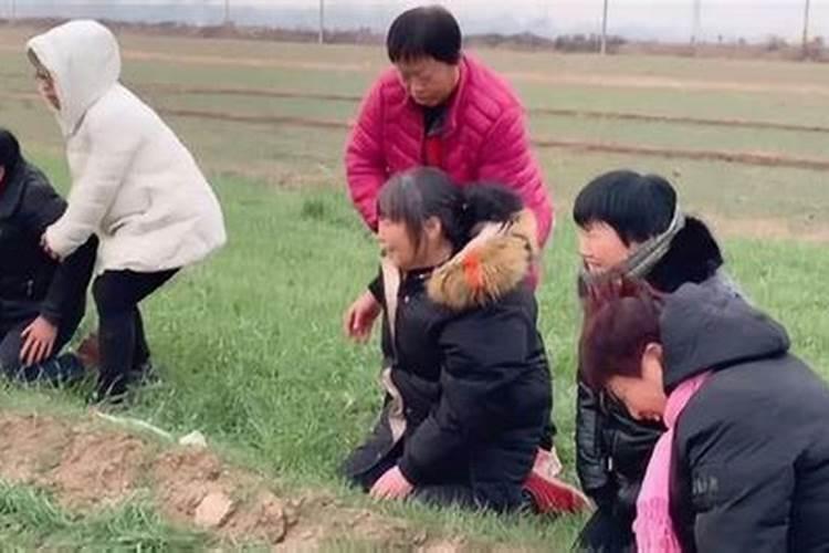 清明节上坟给老人磕几个头