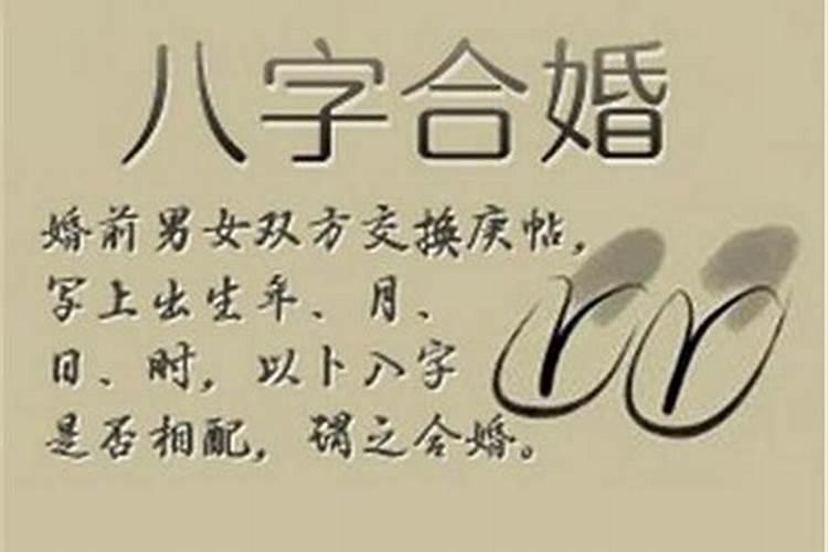 梦见自己爱的人不理自己的预兆