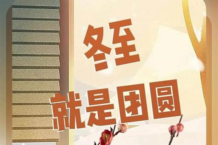 出道弟子是天定的吗