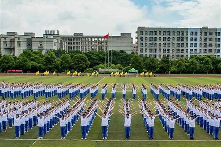 属虎的和属兔合不合
