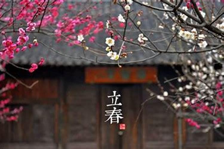 2000年属什么年？