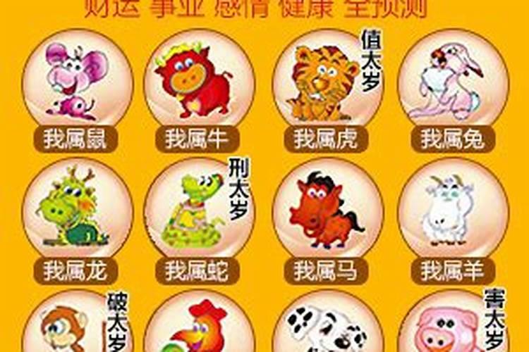 今期生肖一一开什么生肖