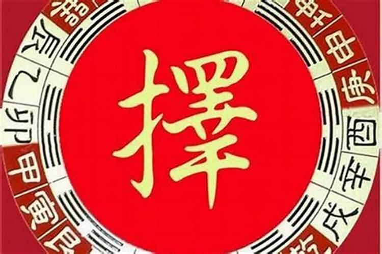 出生于2002农历11月8日属马的女性她这一生将会怎样的命运