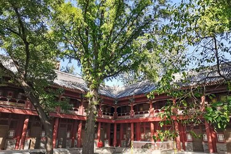 本命年的财运怎么样 本命年戴红绳发大财？