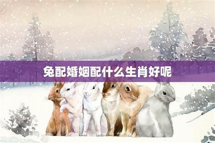 鸡兔夫妻相冲如何化解