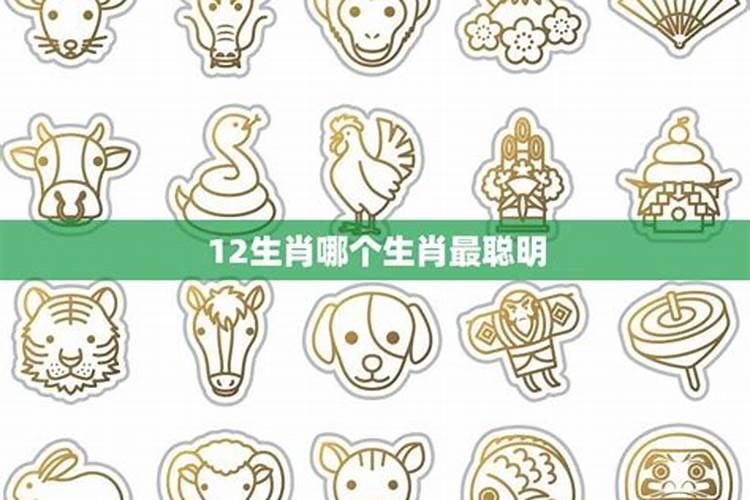 2025属猴犯太岁佩戴什么