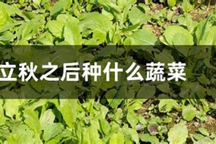 双子座开始走心的表现