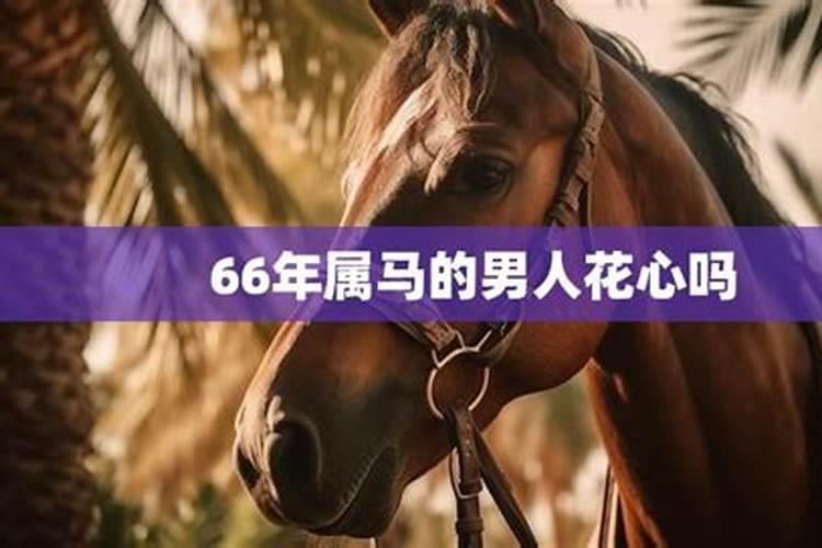 66年属马未来三年运势2024年到2026年
