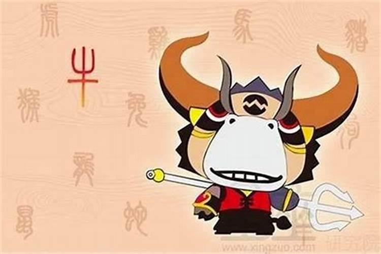 属牛八月出生的女人是什么命 不同出生月份属牛人的运势