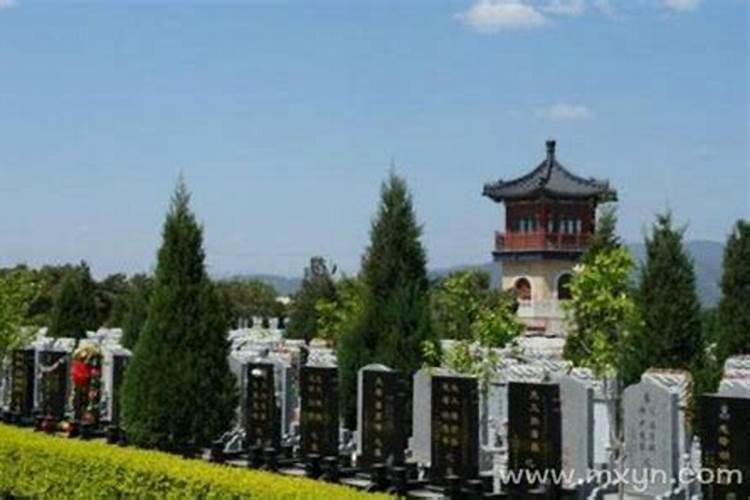 12生肖什么动物最孤独