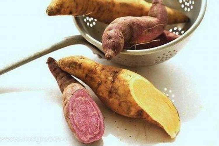 属蛇生在腊月好吗,属蛇农历冬月出生的人什么命