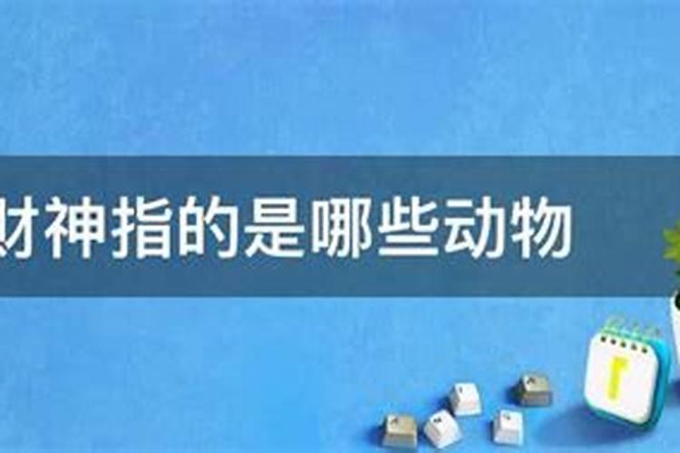 1969年属鸡人在2025年的运势如何？