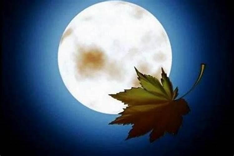 追巨蟹座女生四大禁忌追巨蟹座女生最忌讳什么