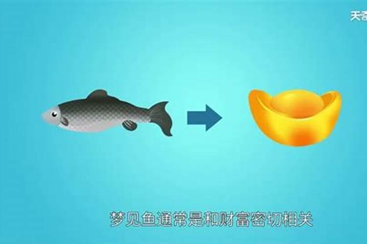 梦见抓了好多鱼是什么预兆 女性