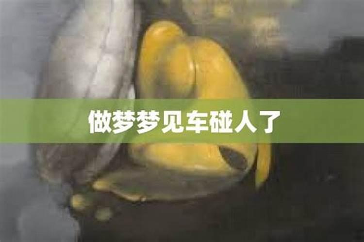 梦见碰车了是什么意思
