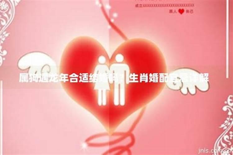 属狗的2024年犯太岁怎么化解