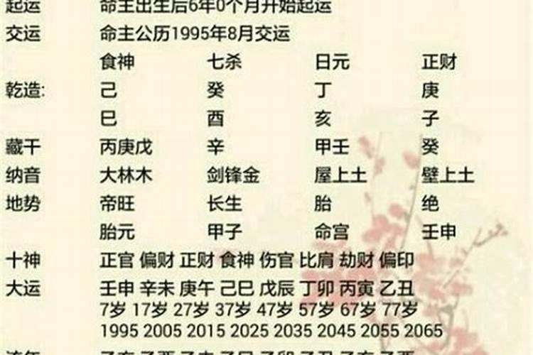 己巳年是什么意思 己巳年的意思