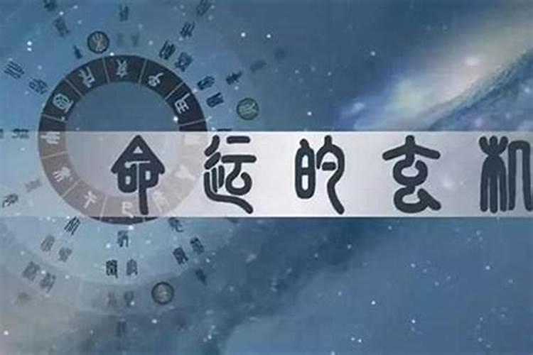 八字怎么看自己是什么命格,看一生命运