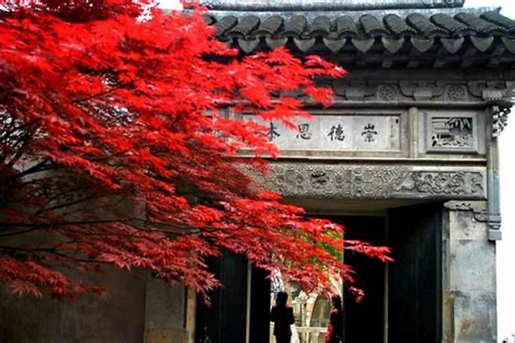 人在本命年运气怎么样