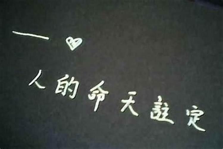 元宵佳节吃饺子的来历