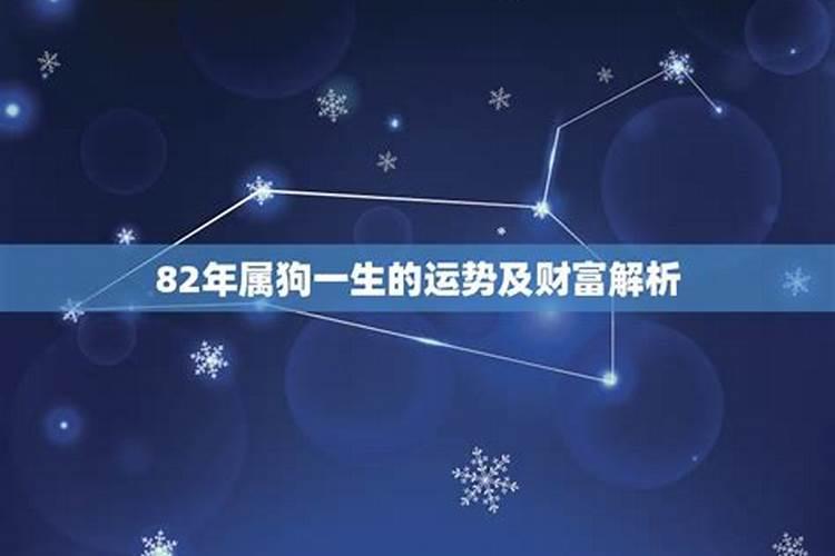 82年狗人一生三次婚姻1982年属狗的桃花劫是谁