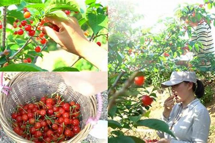 下元节中元节分别是什么