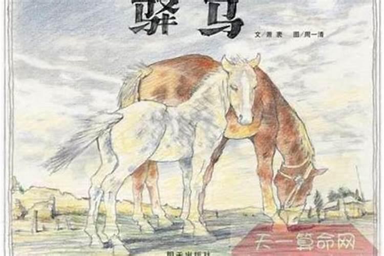 批八字大运,辛卯66岁绝什么意思？