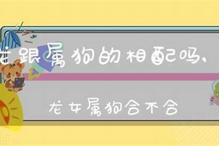 龙男与女狗婚配怎么样 龙男和女狗相配婚姻如何