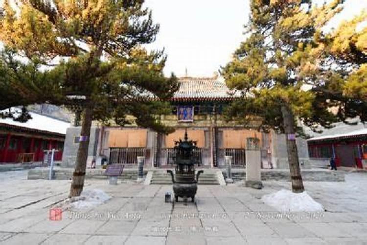 满族习惯和方言