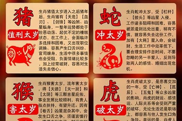 属虎男和属鼠的女人 属虎男与属鼠女相结合怎么样