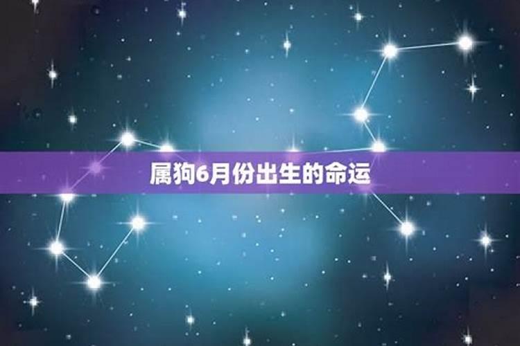 农历6月出生属狗人命好吗