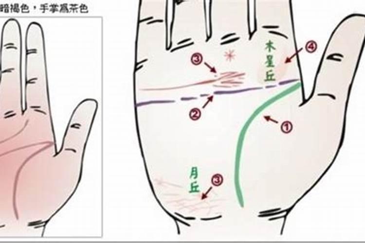 属狗十月出生命运如何
