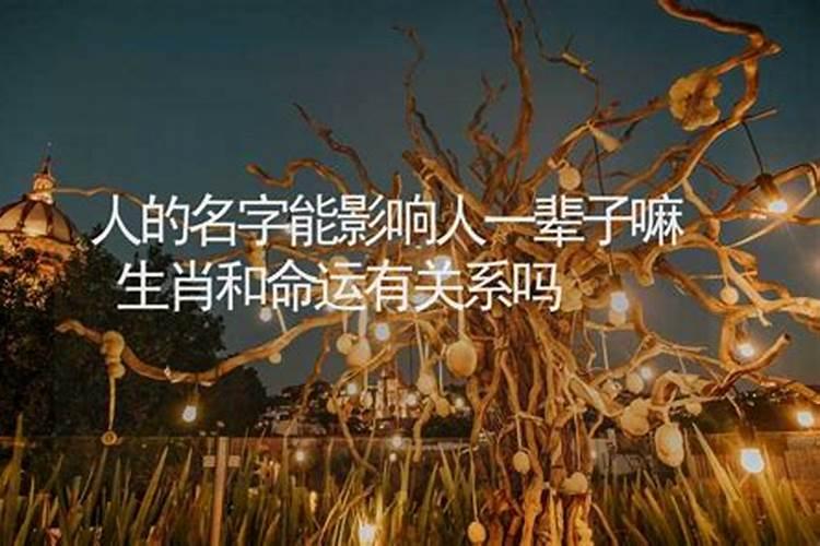 紫微斗数和八字哪个准？