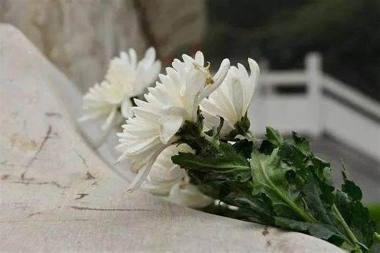 清明节是几月几日,有4月6日的吗