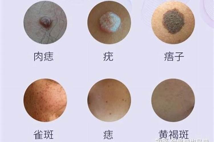 财神节贡品一般都怎么摆 心诚则灵寓意为佳